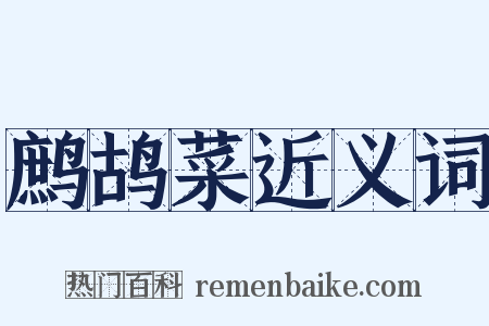 鹧鸪菜近义词是什么意思的图片